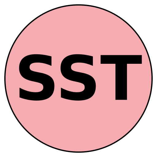 SavvySphere Travels